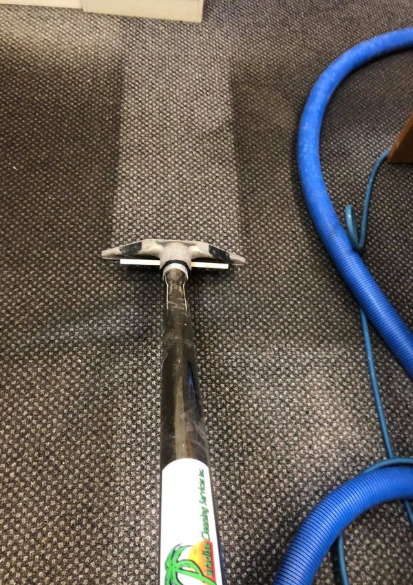 Office Cleaning Results 6