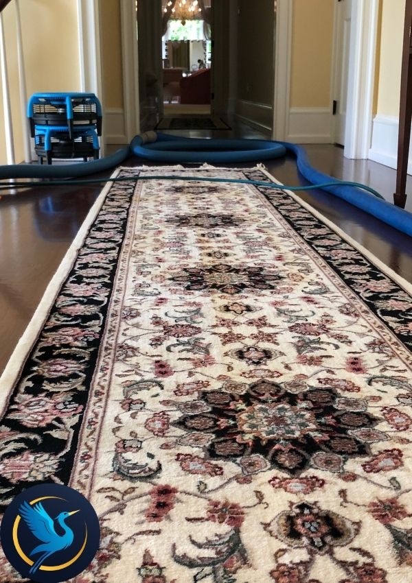 Rug Cleaning Results 1