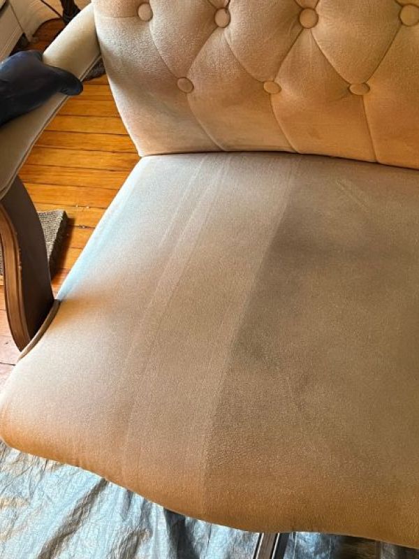 Upholstery Cleaning in Douglassville PA