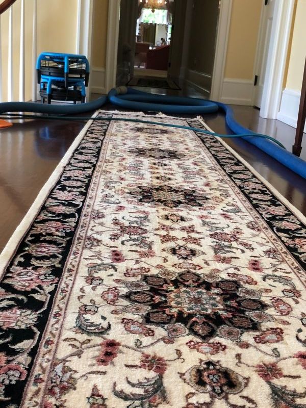 Area Rug Cleaning in Aldan PA